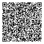 Lone Auto Sales QR vCard