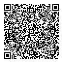 P Gill QR vCard