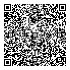 Auto City QR vCard